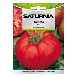 Semillas Tomate Raf (1.5 gramos) Semillas Verduras, Horticultura, Horticola, Semillas Huerto.