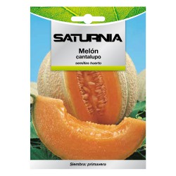 Semillas Melon Cantalupo (3 gramos) Semillas Frutas, Horticultura, Horticola, Semillas Huerto.