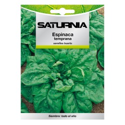 Semillas Espinaca Temprana (8 gramos) Semillas Verduras, Horticultura, Horticola, Semillas Huerto.