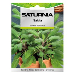 Semillas Aromaticas Salvia (1 gramo) Horticultura, Horticola, Semillas Huerto.